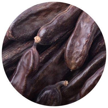 arka planda kuru keçiboynuzu, yakın