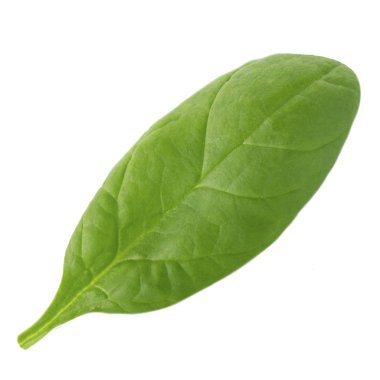 arka planda aromatik bitki, yakın