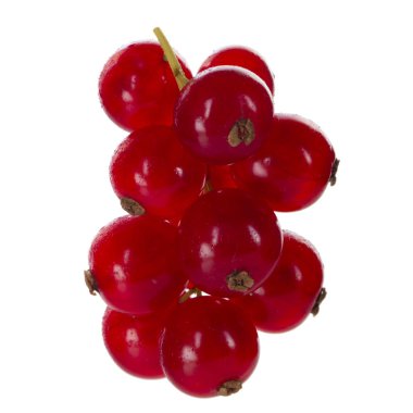 kuş üzümü berry yakın