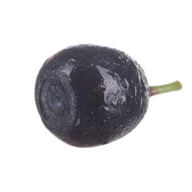 beyaz arka plan üzerinde izole olgun siyah bilberry 