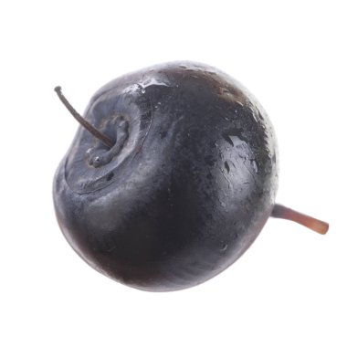 siyah böğürtlen beyaz arka plan üzerinde izole, yakın çekim