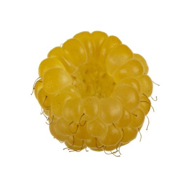 Olgun ahududu yakın çekim 