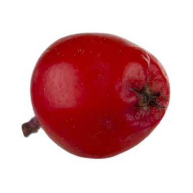 olgun ashberry yakın 