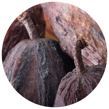 arka planda lezzetli kakao, yakın