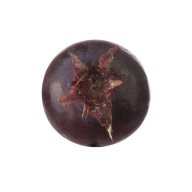 olgun sarvisberry yakın