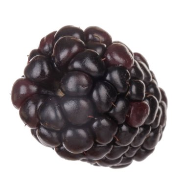 olgun tatlı böğürtlen beyaz arka plan izole, yakın çekim 