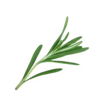 Beyaz arka planda izole biberiye closeup