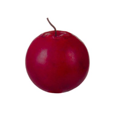 olgun bearberry yakın 