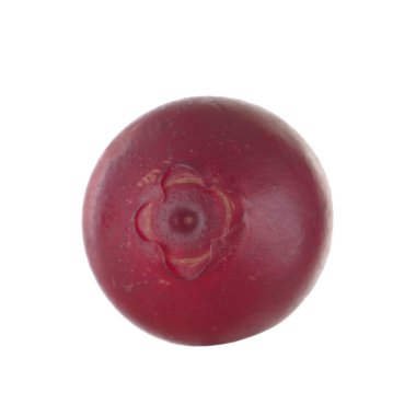 olgun bearberry yakın 