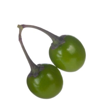 olgun dulcamara yakın