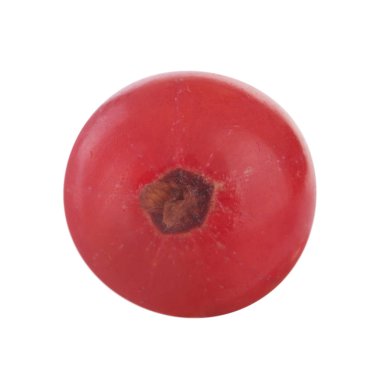 kuş üzümü berry yakın