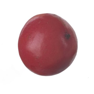 arka planda aromatik bitki, yakın