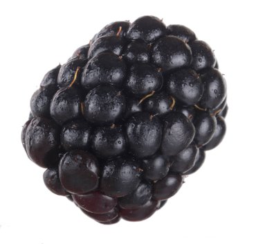 olgun tatlı böğürtlen beyaz arka plan izole, yakın çekim 