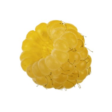 Olgun ahududu yakın çekim 