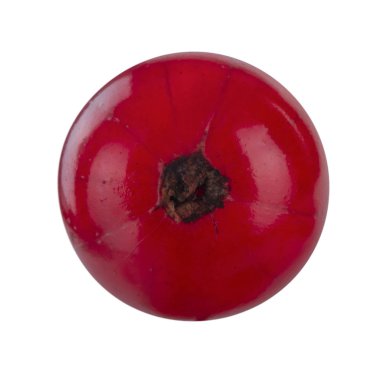 kuş üzümü berry yakın