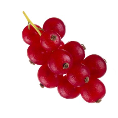 kuş üzümü berry yakın