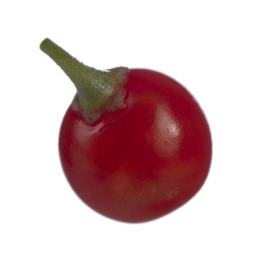 olgun dulcamara yakın