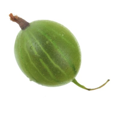 Olgun bektaşi üzümü yakın çekim