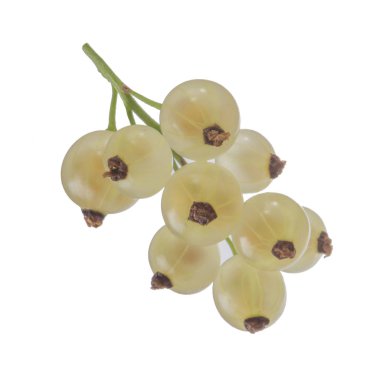 kuş üzümü berry yakın