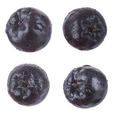 olgun ashberry yakın 