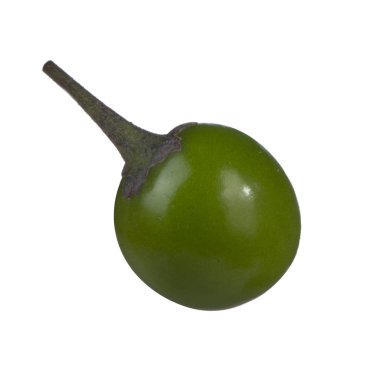 olgun dulcamara yakın