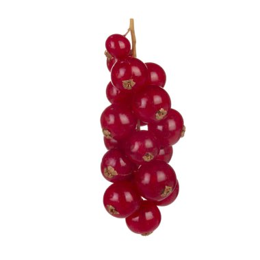 kuş üzümü berry yakın