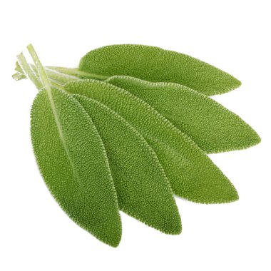 arkaplanda yeşil yapraklar, kapat