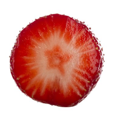 yabani çilek yakın çekim 