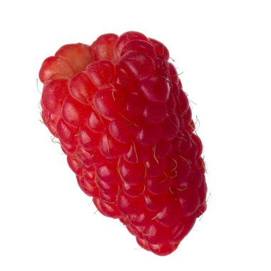 Olgun ahududu yakın çekim 