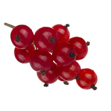 kuş üzümü berry yakın