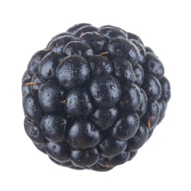 olgun tatlı böğürtlen beyaz arka plan izole, yakın çekim 