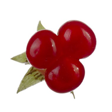 olgun bramble yakın