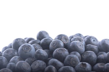 Olgun yaban mersinleri. Kapatın. 