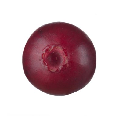 olgun bearberry yakın 