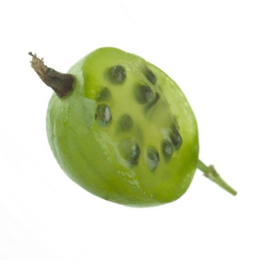 Olgun bektaşi üzümü yakın çekim