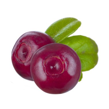 beyaz arka plan üzerinde izole yaprakları ile kızılcık