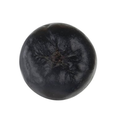 olgun ashberry yakın 