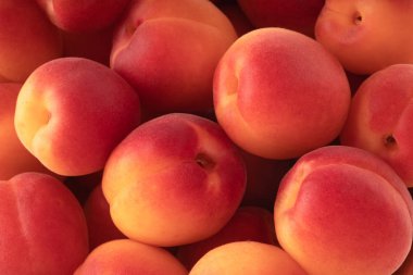 beyaz arka plan üzerinde izole olgun kayısı, yakın çekim   