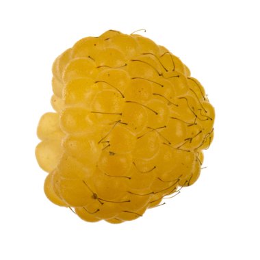 Olgun ahududu yakın çekim 