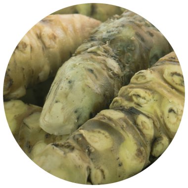 beyaz arka plan üzerinde izole wasabi kökleri, yakın çekim  