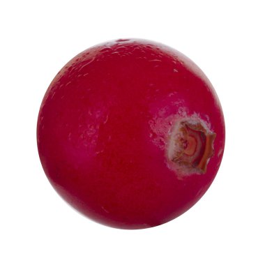 olgun kızılcık yakın 