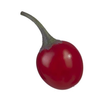 olgun dulcamara yakın