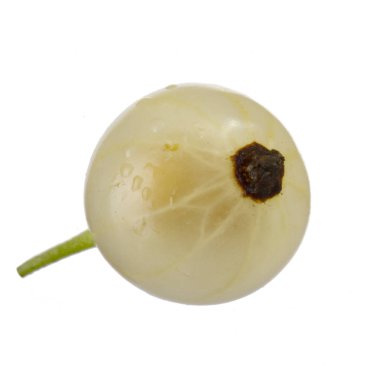 kuş üzümü berry yakın