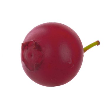 olgun bearberry yakın 