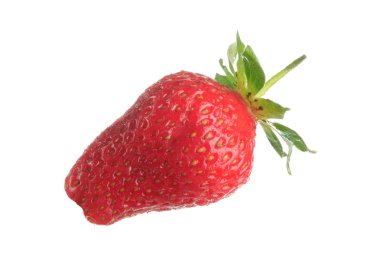 yabani çilek yakın çekim 