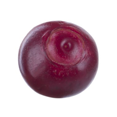 olgun bearberry yakın 