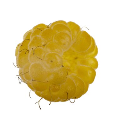 Olgun ahududu yakın çekim 