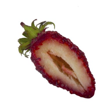 yabani çilek yakın çekim 