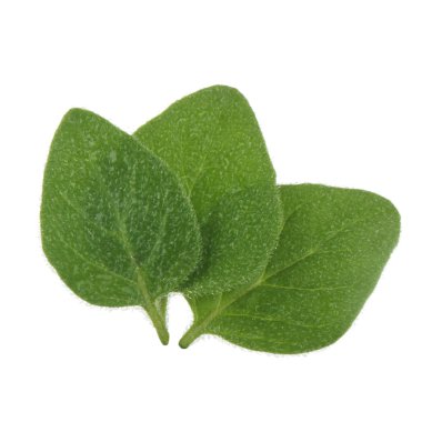 arka planda aromatik bitki, yakın