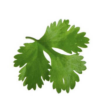 arka planda aromatik bitki, yakın